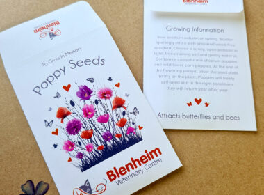 Branded Seeds for Vets